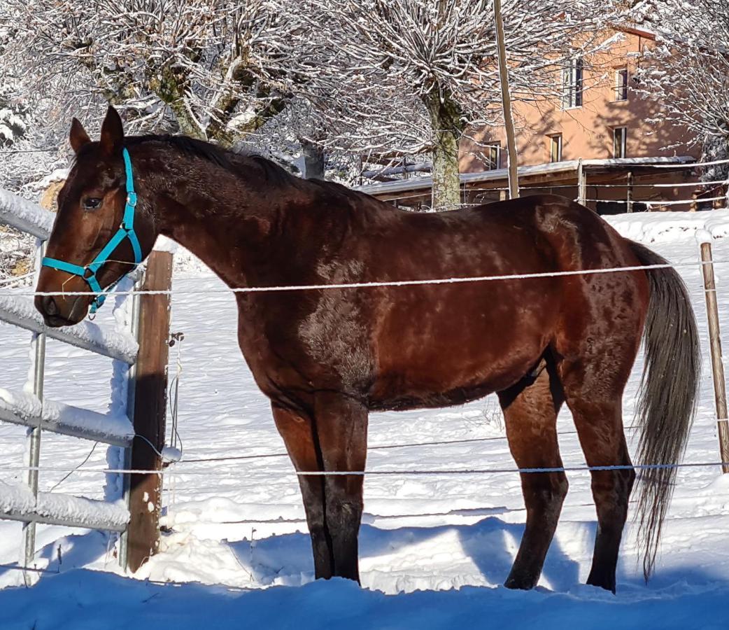 Haras De Seranon Bagian luar foto