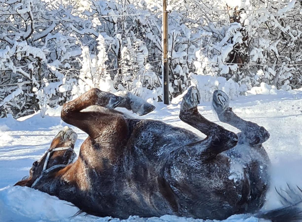 Haras De Seranon Bagian luar foto