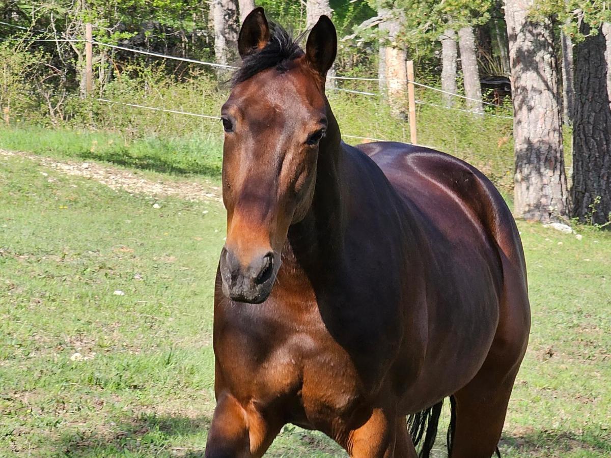 Haras De Seranon Bagian luar foto